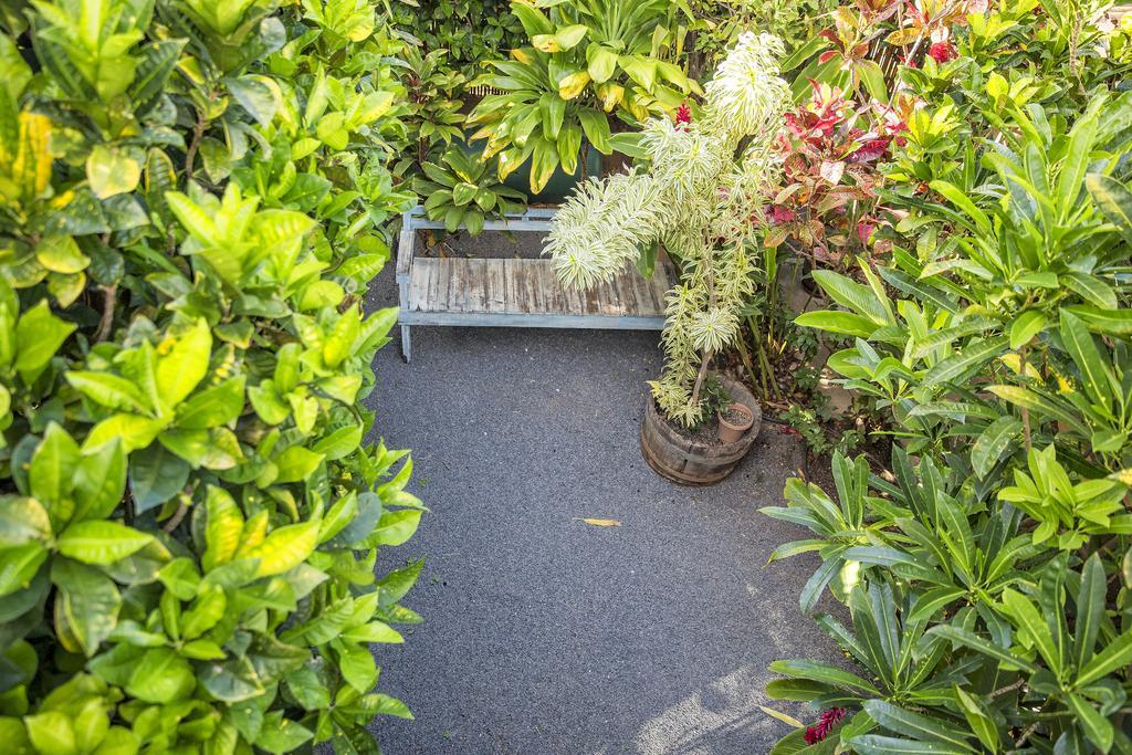 Nalu Kai Lodge Paia Hotel Екстериор снимка